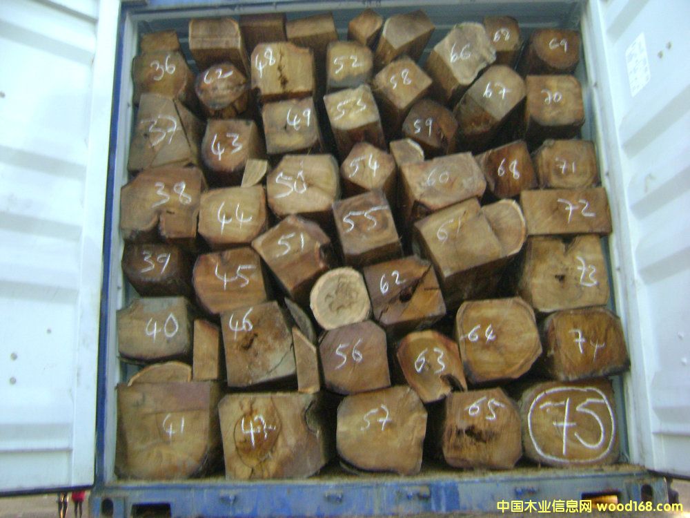 ���޴����̴��Ԕ����B