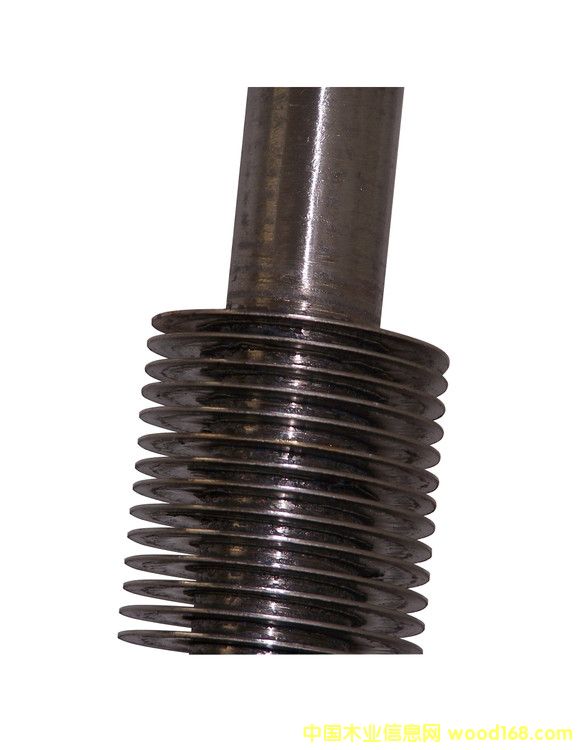 ���l����Ƭ��