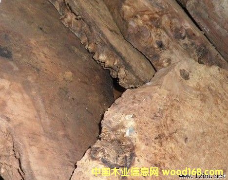 ����ľ����ë�ϵ�Ԕ����B