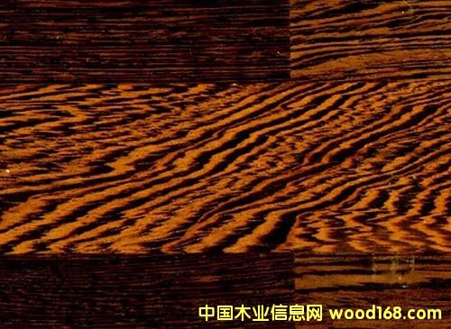 ��ľ�ذ��Ԕ����B