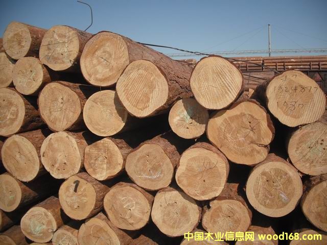 �����ɵ�Ԕ����B