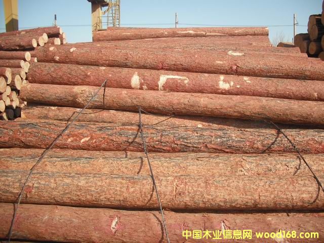 ���~�ɵ�Ԕ����B