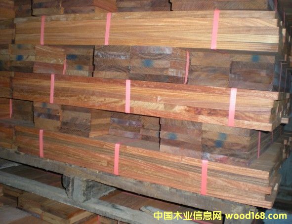 �㻨��ذ��Ԕ����B