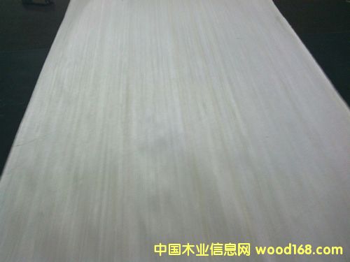 Ư�׿Ƽ�ľ�ΰ��Ԕ����B