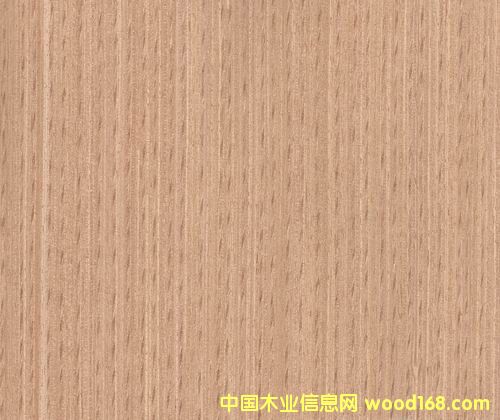 �t��1DQ��Ԕ����B