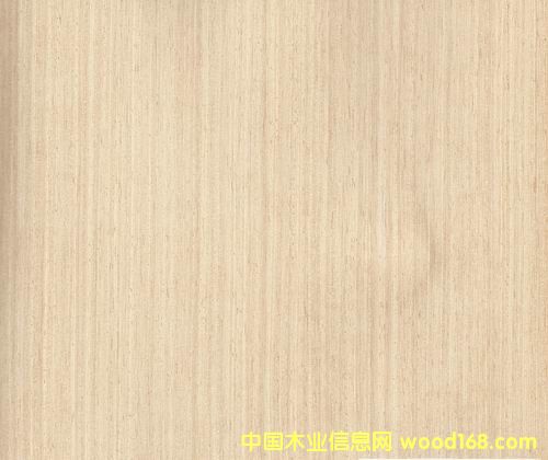 ��ľ5Q��Ԕ����B