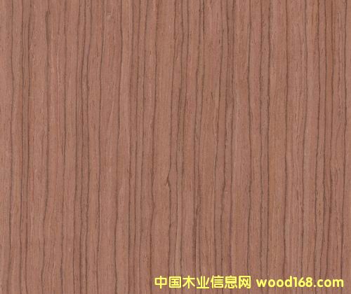 �ϼtľ��Ԕ����B