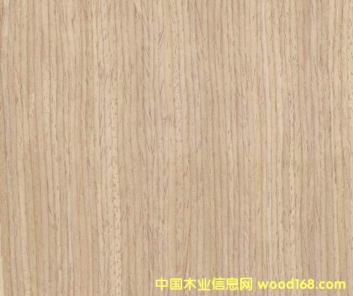 ����B(y��ng)01S��Ԕ����B