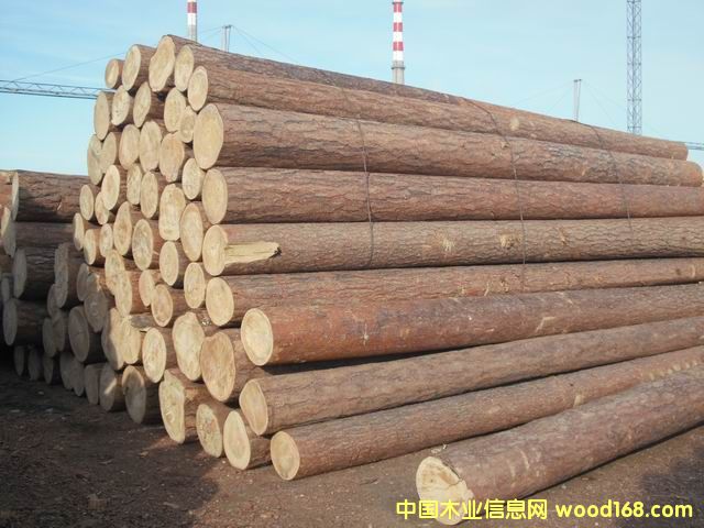 �t���ɵ�Ԕ����B