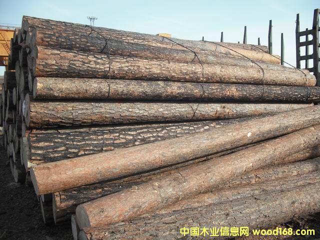 ���������ɵ�Ԕ����B