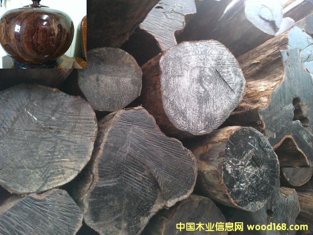 ���_�TTubi���~��̴