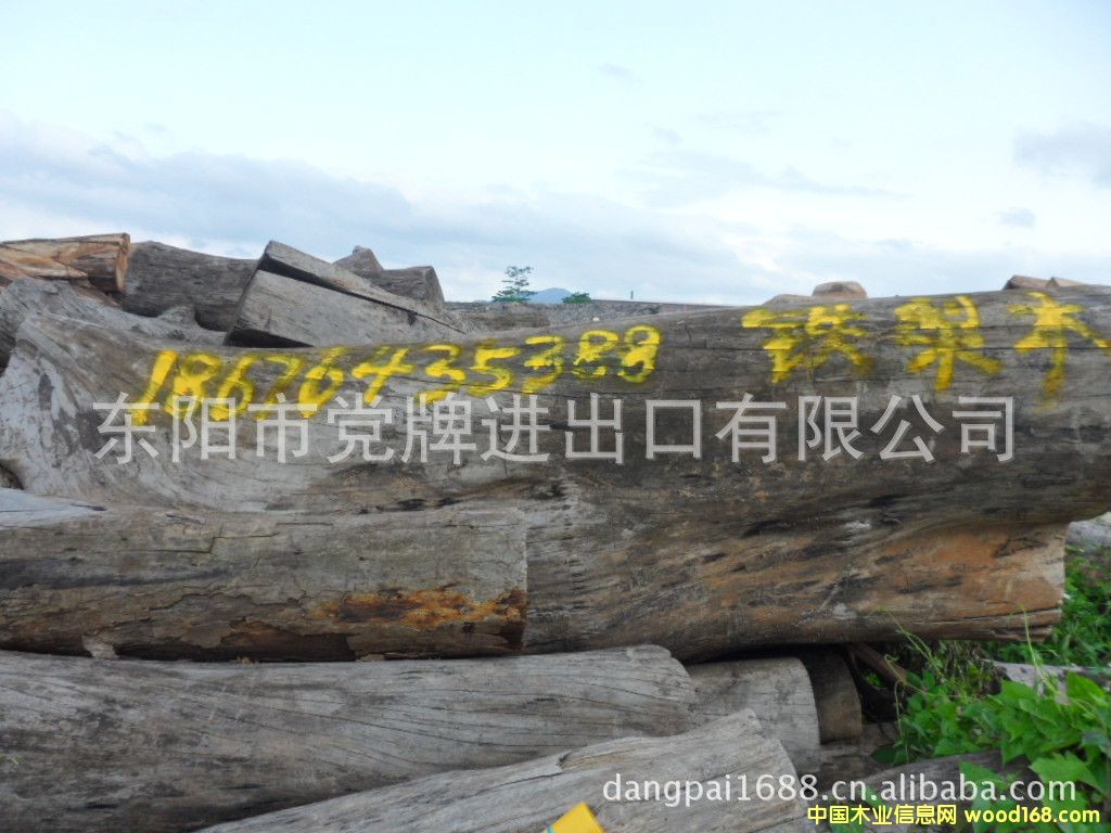 �F��ľ��Ԕ����B