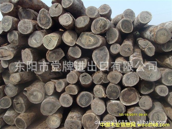 �G̴ԭľ�̓r���l��������Ԕ����B