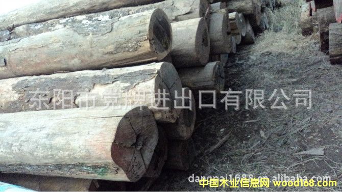 ������֦��Ԕ����B