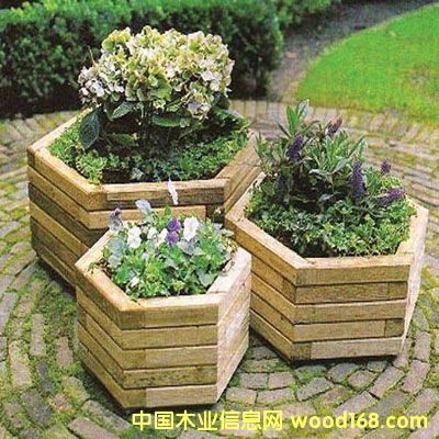 ��������ľľ����2��Ԕ����B