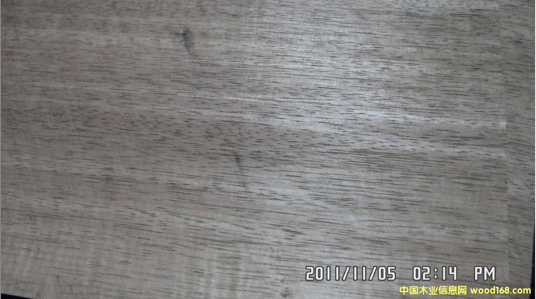 ��˹�D��Ԕ����B