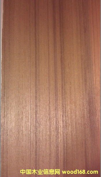 ̩��ֱ�y��Ԕ����B