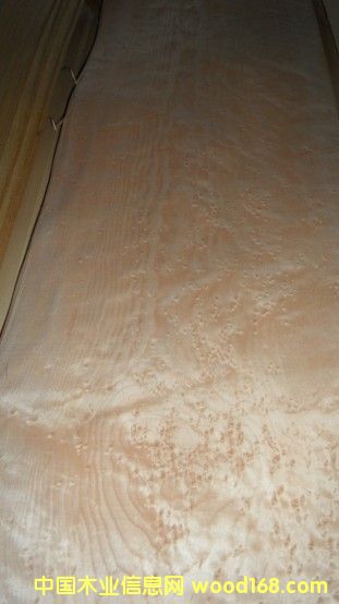 ��ľȸ�۵�Ԕ����B