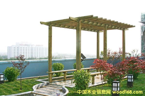 ����ľ�͵�Ԕ��(x��)��B