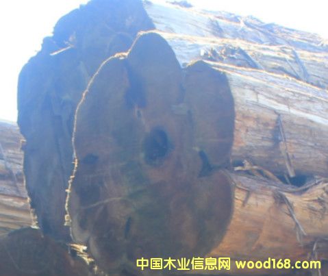 ����ԭľ��Ԕ����B