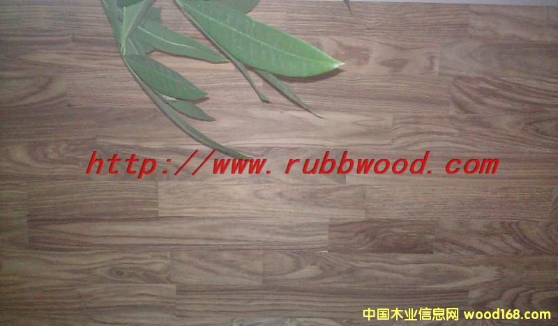 �����t��ָ�Ӱ��Ԕ��(x��)��B