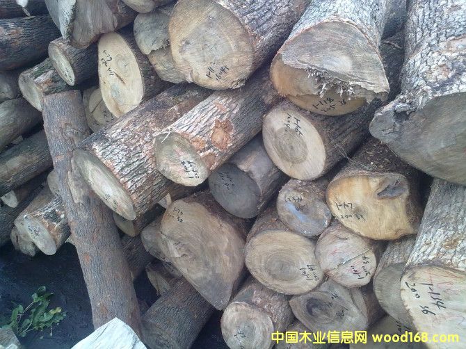 ���������a��