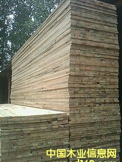 ��ľ��Ԕ����B