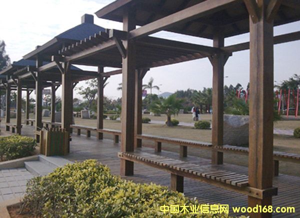 ����ľ��Ԕ����B