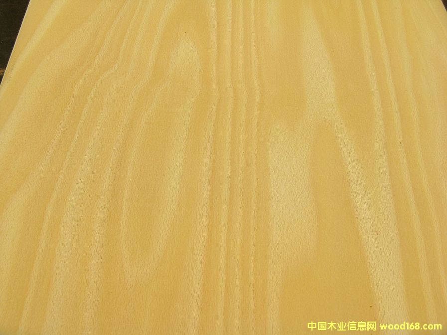 ��ľ����Ԕ����B