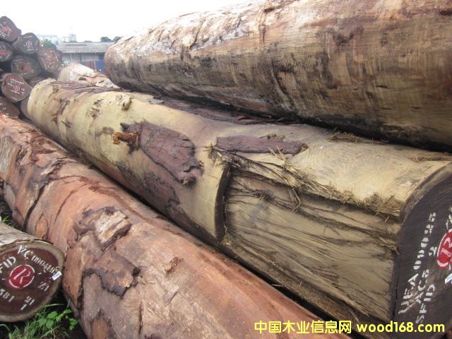 Dabema ����R