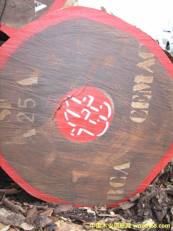 Pao Rosa С�t�~̴