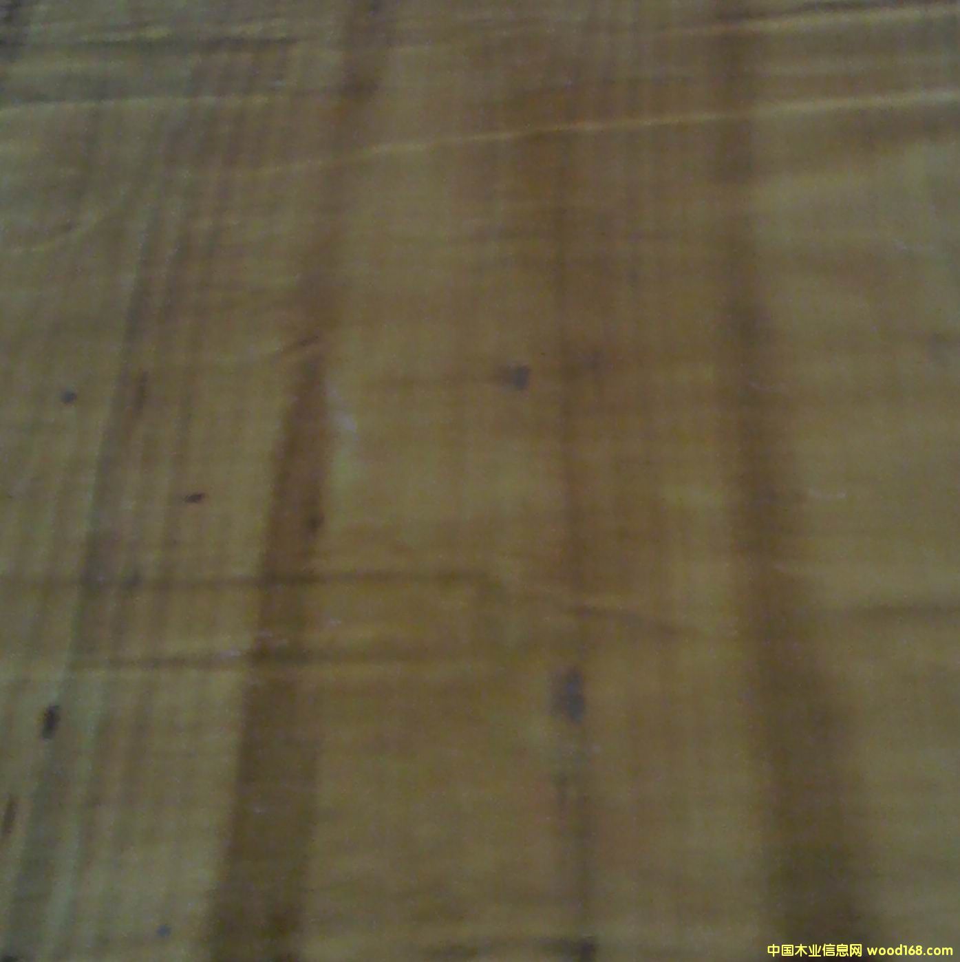 ���a���Sģ���Ԕ����B