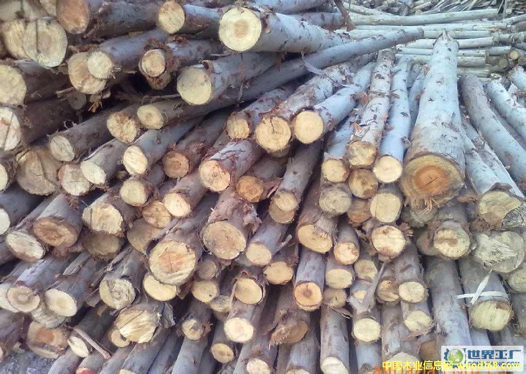 ����Ԕ����B