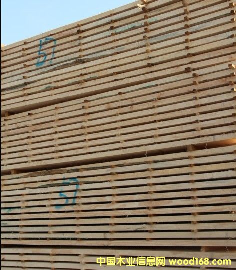 ��ɰ��Ԕ����B