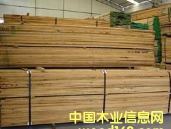 �t���Ԕ����B