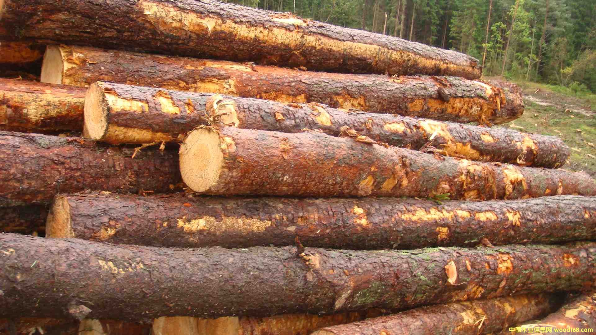 �W�޳��ɵ�Ԕ����B