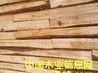 ��ƴ�壨����(j��)����Ԕ��(x��)��B