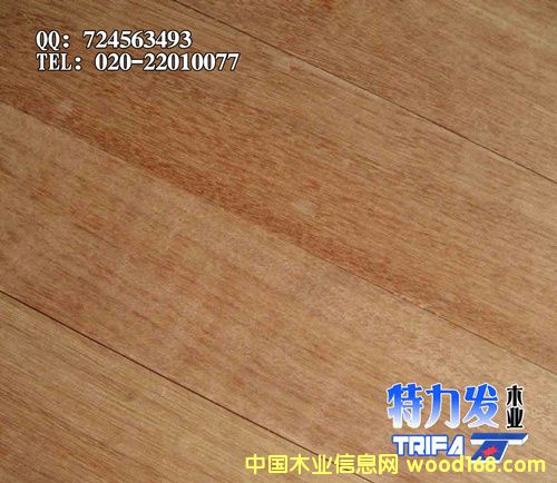 �𲻓Q�ذ�����