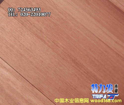 �����۵ذ�����