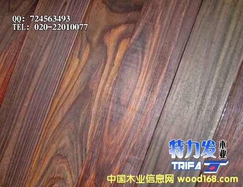 ��֦�ذ�����