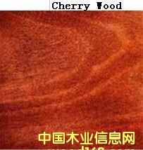 ��������ľ