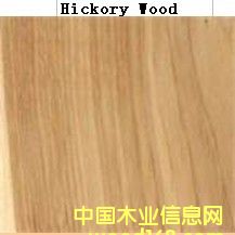 ��������ľ