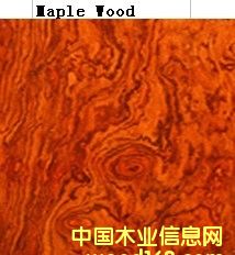 ������ľ