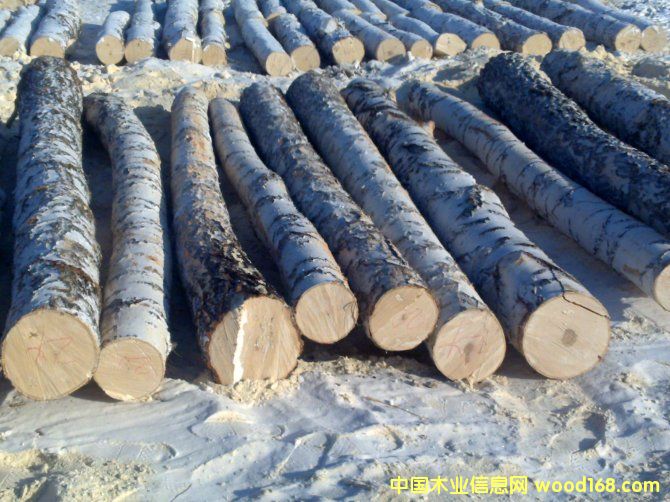 ���_˹��ľ��ĵ�Ԕ����B