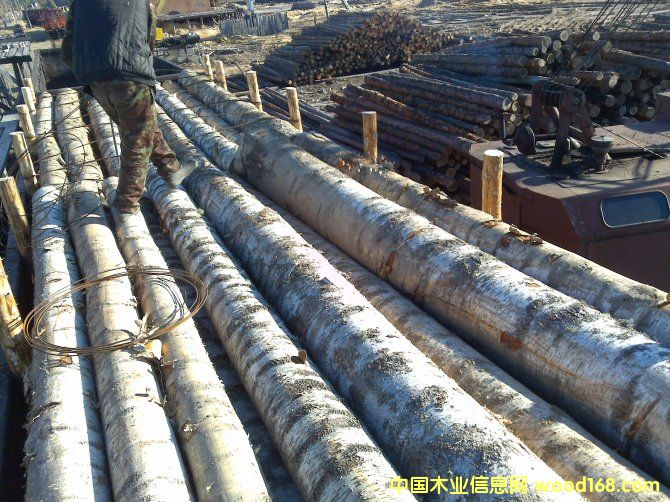 ���_˹��ľ��ĵ�Ԕ����B