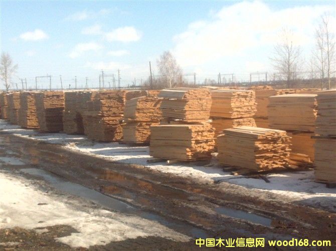 ���_˹��ľ���