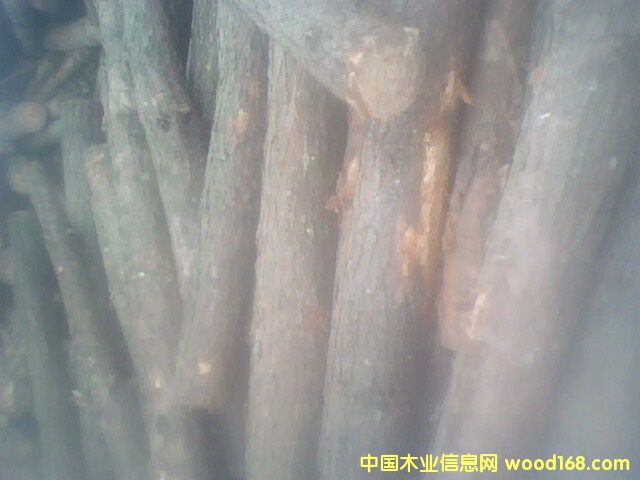 ��ԭľ��Ԕ����B