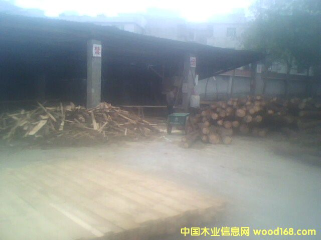 �S�^��Ԕ����B