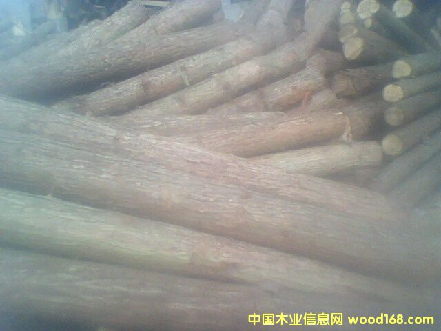 ɼԭľ��Ԕ����B