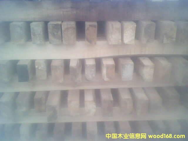 ɼľ����Ԕ����B